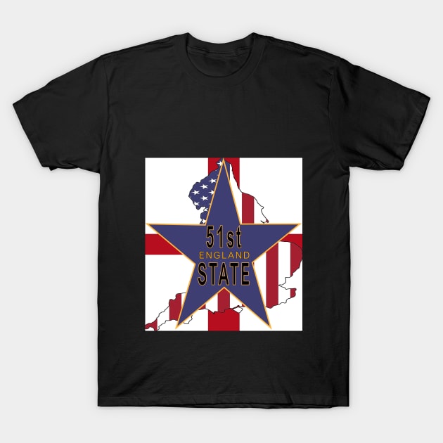 51st State of America T-Shirt by Badsy